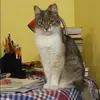 Отзыв от Ираида Юдина